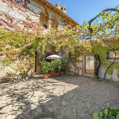 Appartamento La Foresta-1 By Interhome Quercegrossa