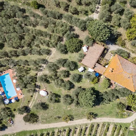 Daire La Foresta-1 By Interhome *