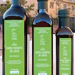 Διαμέρισμα La Foresta-1 By Interhome *